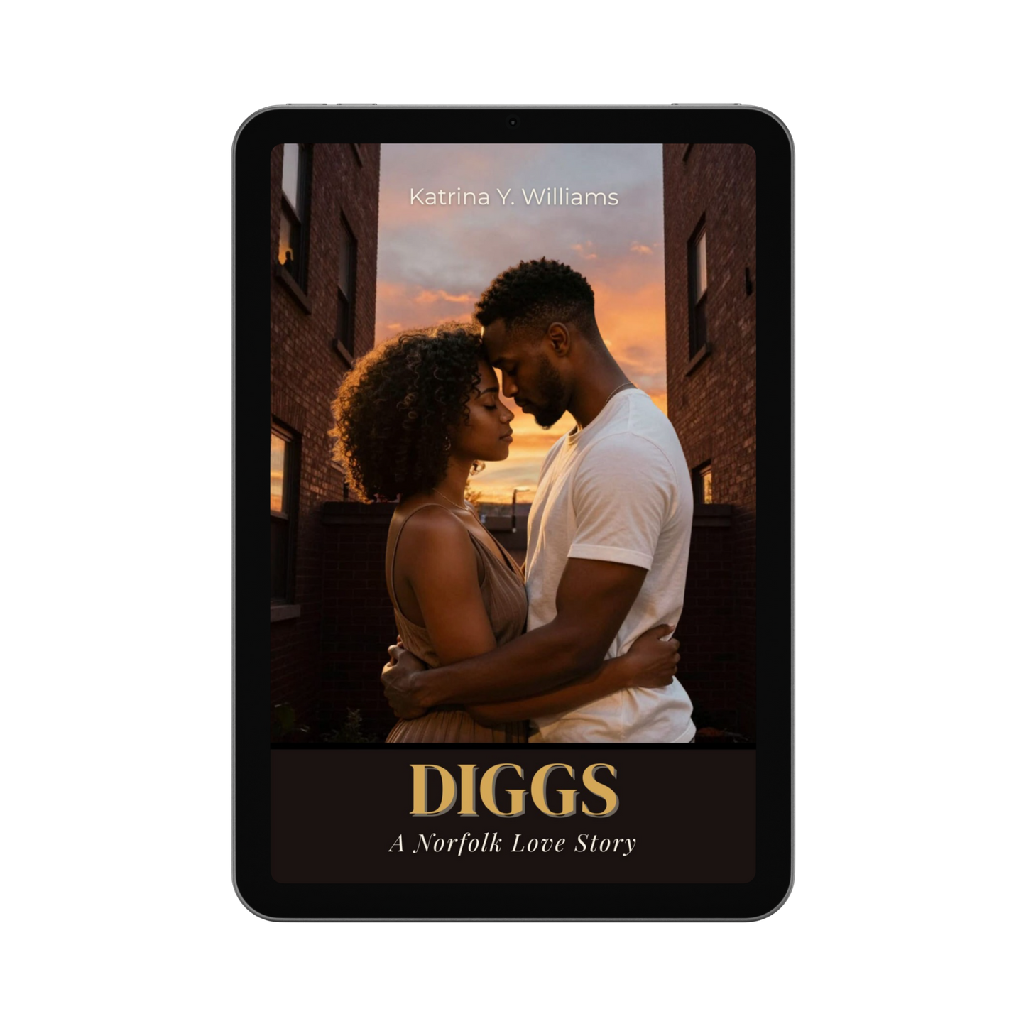 Diggs: A Norfolk Love Story ebook