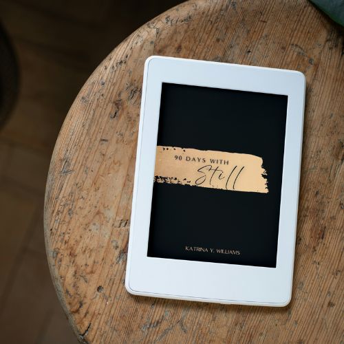 90 Days with Still eBook