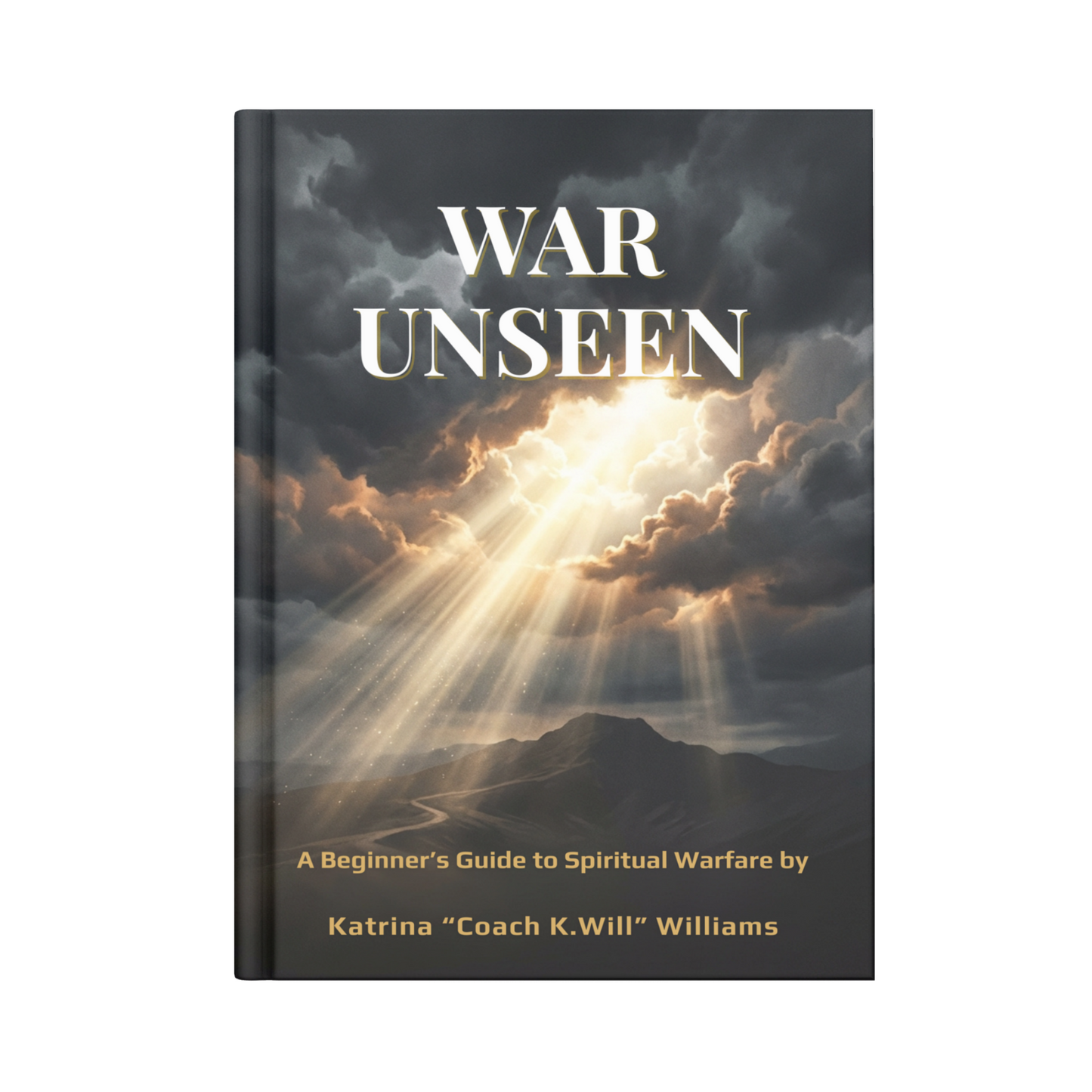 War Unseen print